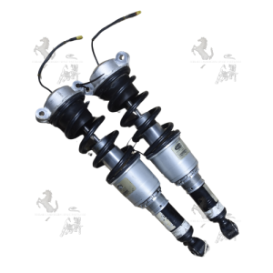 FRONT SHOCKABSORBER COMPLETE WITH LIFT SYSTEM FOR FERRARI F 296